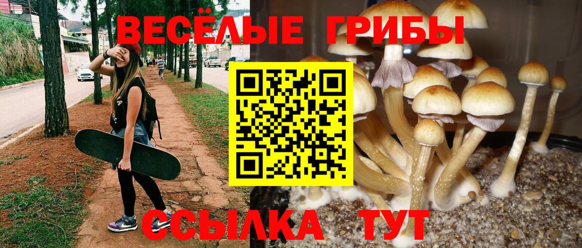 МЕТ  Лсд 25  Заволжье  Кокаин  Меф кристаллы  ГАШИШ  Вход с VPN  Бошки Шишки 