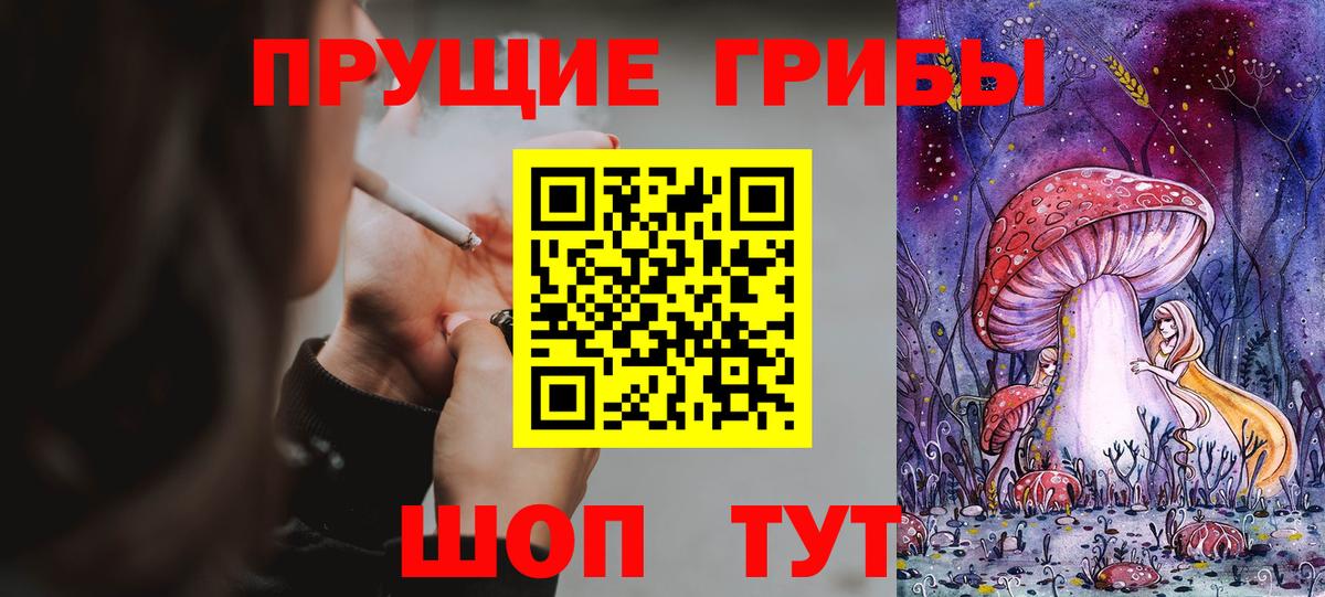 Галлюциногенные грибы Psilocybe Заволжье