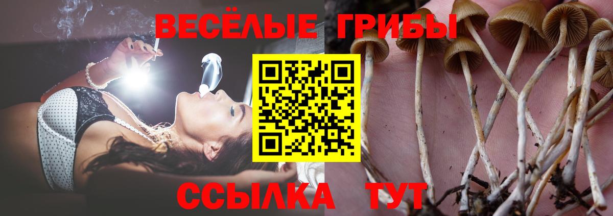 Заволжье  Галлюциногенные грибы мухоморы  Галлюциногенные грибы MAGIC MUSHROOMS  где продают   Вход с VPN 